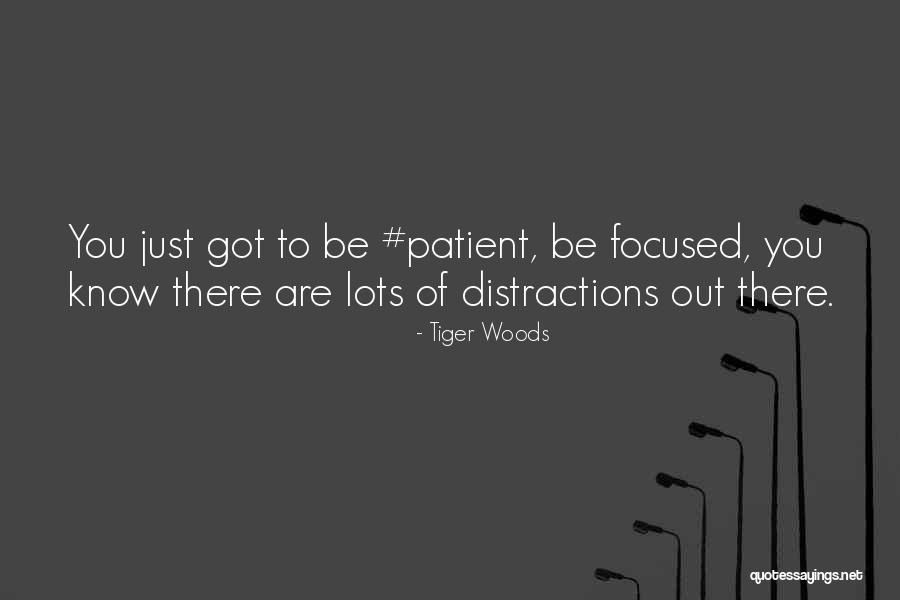 Mcginness Airfield Quotes By Tiger Woods Mcginness Airfield Quotes By Tiger Woods