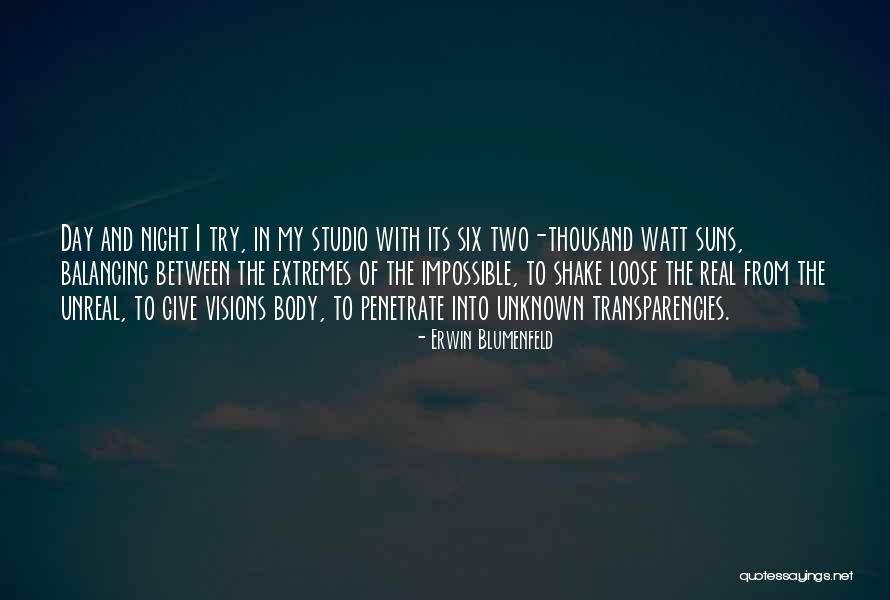 Mcgivney Quotes By Erwin Blumenfeld Mcgivney Quotes By Erwin Blumenfeld
