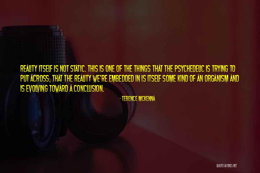 Mcglaun Consulting Quotes By Terence McKenna Mcglaun Consulting Quotes By Terence McKenna