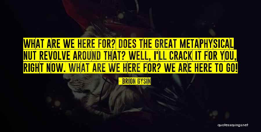 Mcgranaghan Architecture Quotes By Brion Gysin Mcgranaghan Architecture Quotes By Brion Gysin