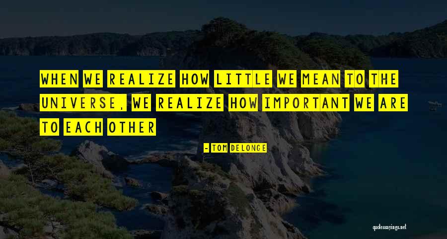 Mcgruders Quotes By Tom DeLonge Mcgruders Quotes By Tom DeLonge