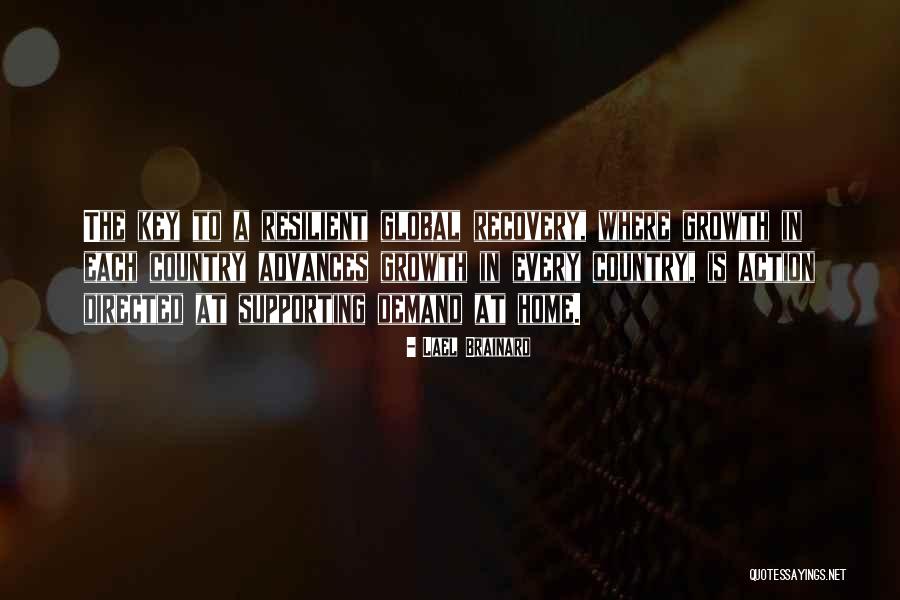 Mcguigan The Plan Quotes By Lael Brainard Mcguigan The Plan Quotes By Lael Brainard