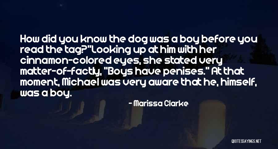 Mchardys Fried Quotes By Marissa Clarke Mchardys Fried Quotes By Marissa Clarke