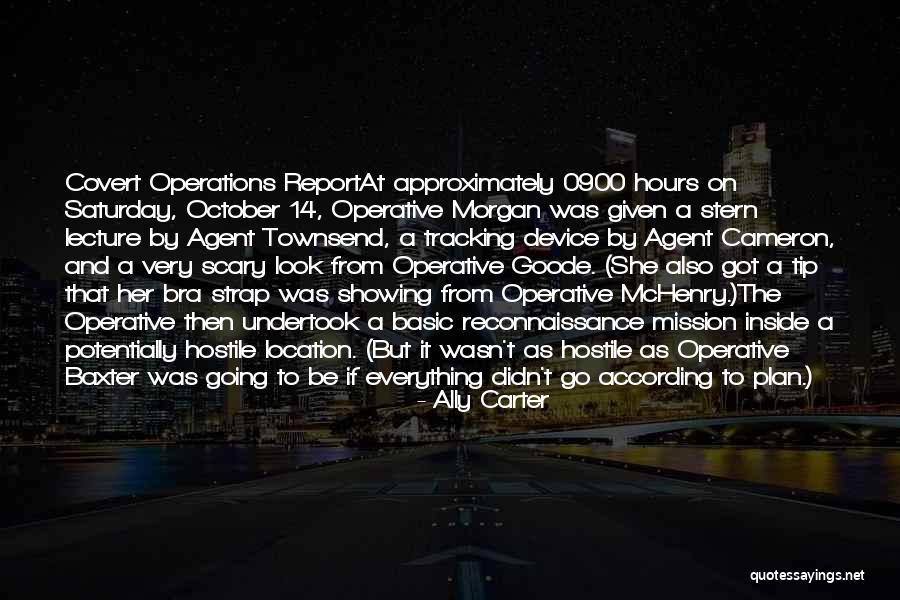 Mchenry Quotes By Ally Carter Mchenry Quotes By Ally Carter