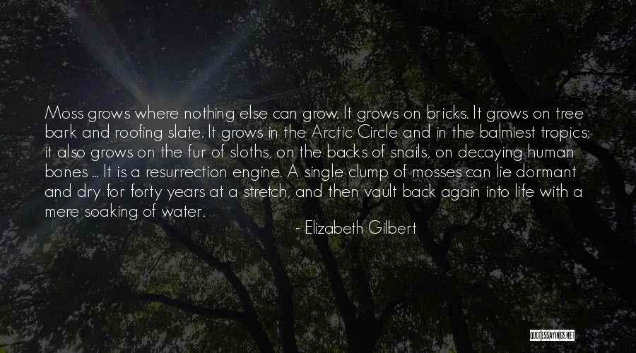 Mcilroys Pest Quotes By Elizabeth Gilbert Mcilroys Pest Quotes By Elizabeth Gilbert