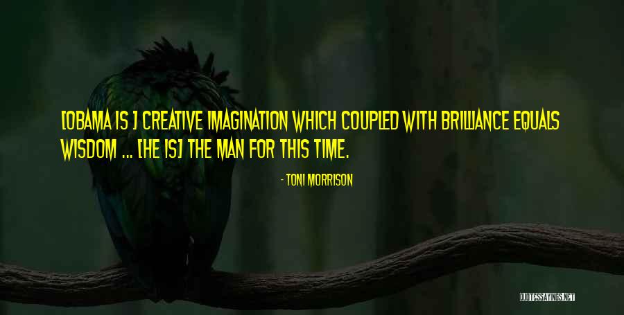 Mcindoo Associates Quotes By Toni Morrison Mcindoo Associates Quotes By Toni Morrison