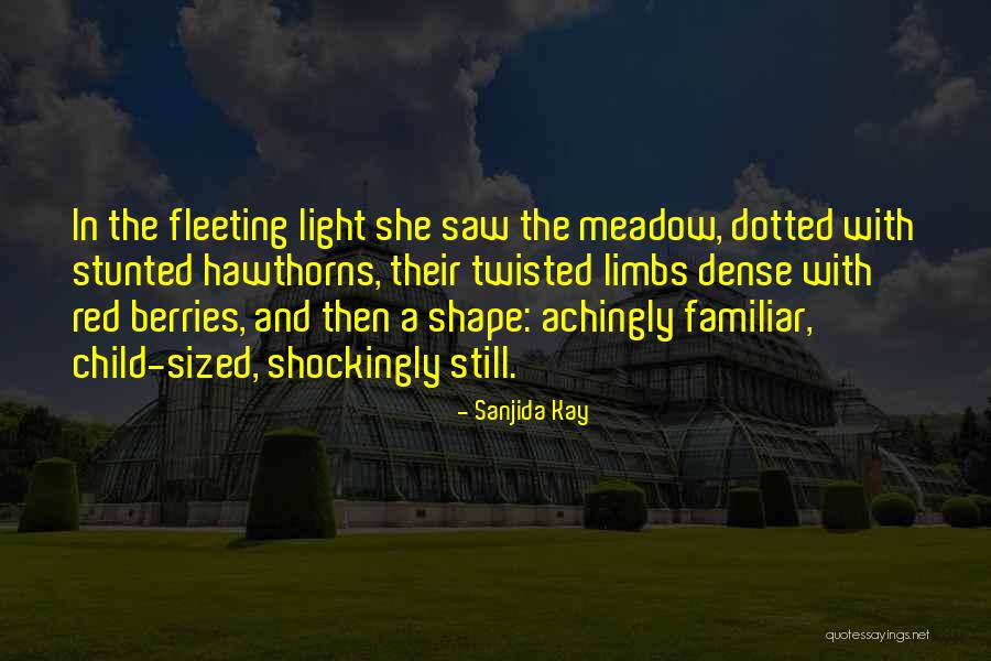 Mcinerney General Quotes By Sanjida Kay Mcinerney General Quotes By Sanjida Kay