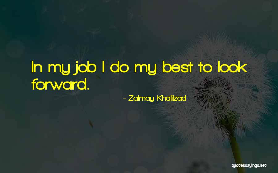 Mcinroy Wood Quotes By Zalmay Khalilzad Mcinroy Wood Quotes By Zalmay Khalilzad