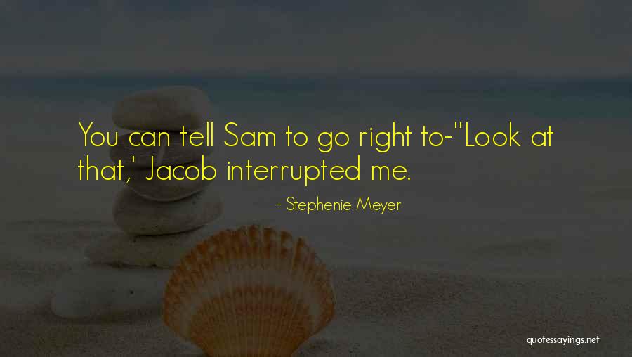 Mckechnies Of Mull Quotes By Stephenie Meyer Mckechnies Of Mull Quotes By Stephenie Meyer