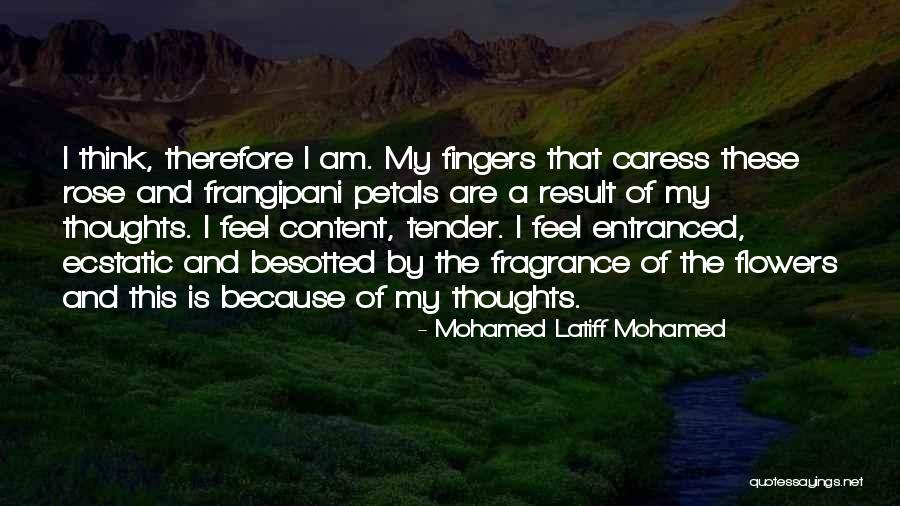 Mckeithen True Quotes By Mohamed Latiff Mohamed Mckeithen True Quotes By Mohamed Latiff Mohamed