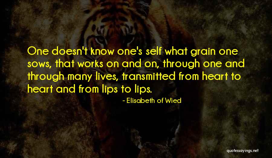 Mckemie Family Tree Quotes By Elisabeth Of Wied Mckemie Family Tree Quotes By Elisabeth Of Wied