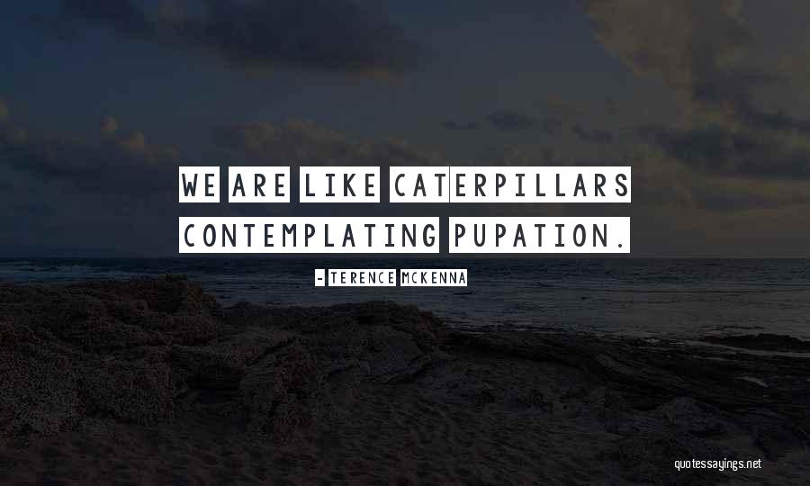 Mckenna Quotes By Terence McKenna Mckenna Quotes By Terence McKenna