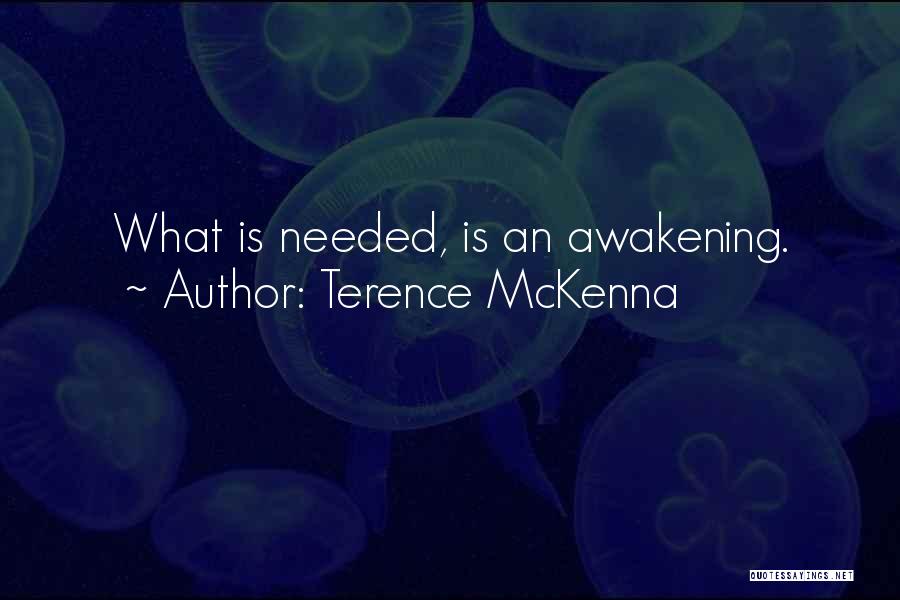 Mckenna Terence Quotes By Terence McKenna