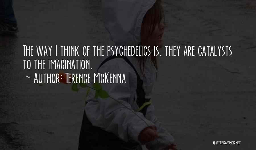 Mckenna Terence Quotes By Terence McKenna