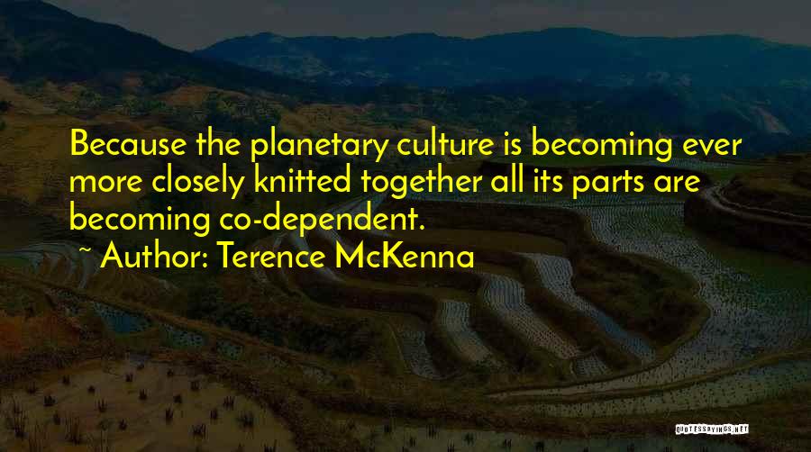 Mckenna Terence Quotes By Terence McKenna