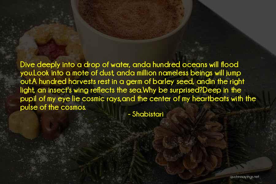 Mckeogh Landscapes Quotes By Shabistari Mckeogh Landscapes Quotes By Shabistari