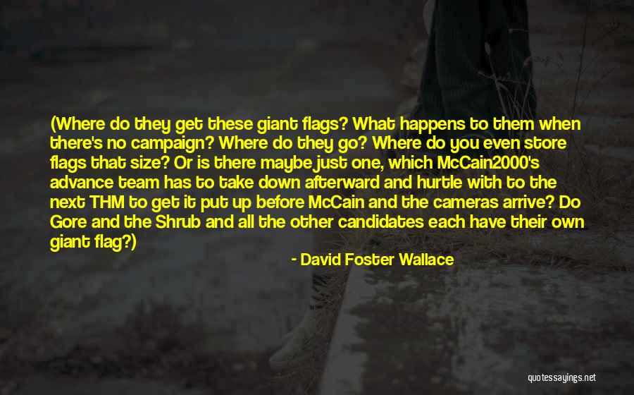 Mckeogh Pronunciation Quotes By David Foster Wallace Mckeogh Pronunciation Quotes By David Foster Wallace