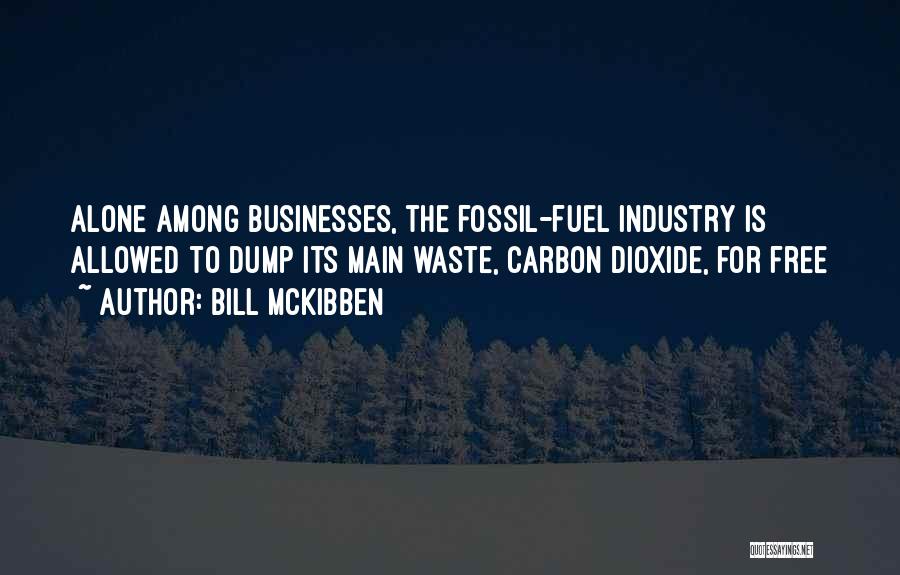 Mckibben Quotes By Bill McKibben