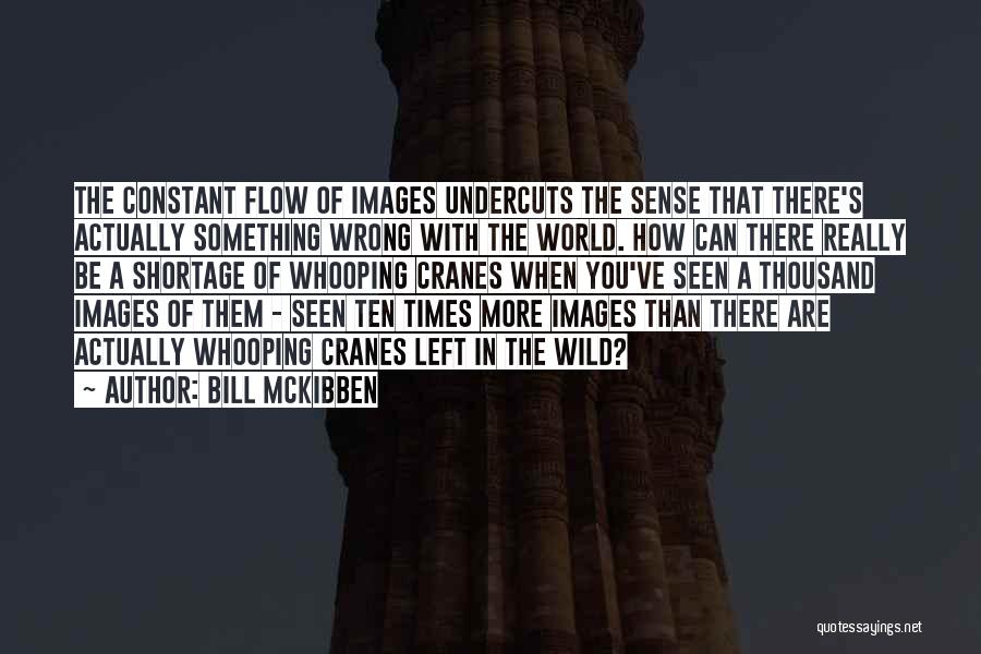 Mckibben Quotes By Bill McKibben