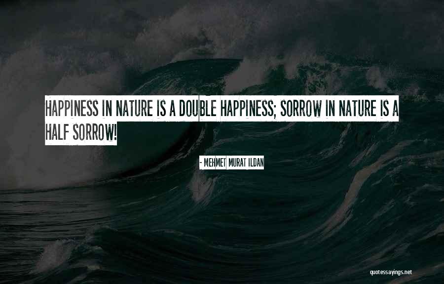 Mckinnell Dart Quotes By Mehmet Murat Ildan