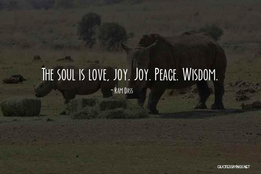 Mckinnis From Eldorado Quotes By Ram Dass Mckinnis From Eldorado Quotes By Ram Dass