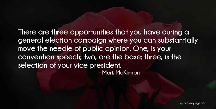 Mckinnon Quotes By Mark McKinnon