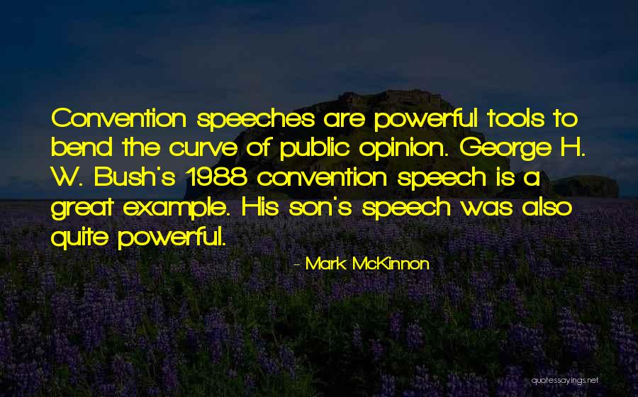 Mckinnon Quotes By Mark McKinnon