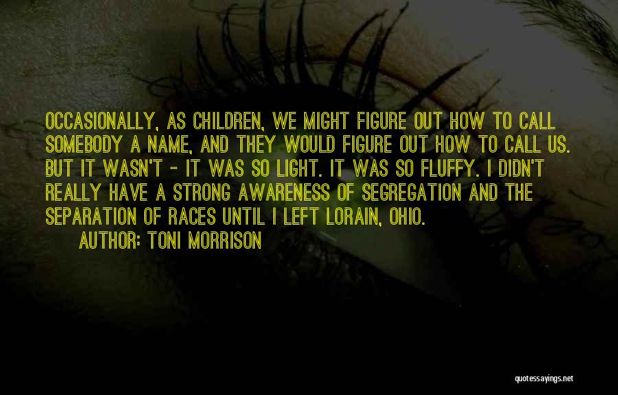 Mckinseys Model Quotes By Toni Morrison