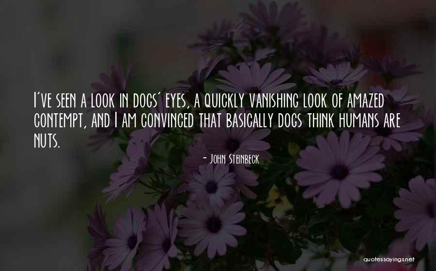 Mckitty Dermatologist Quotes By John Steinbeck Mckitty Dermatologist Quotes By John Steinbeck