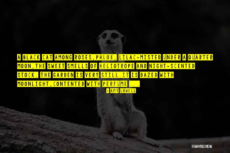Mclester Hotel Quotes By Amy Lowell Mclester Hotel Quotes By Amy Lowell