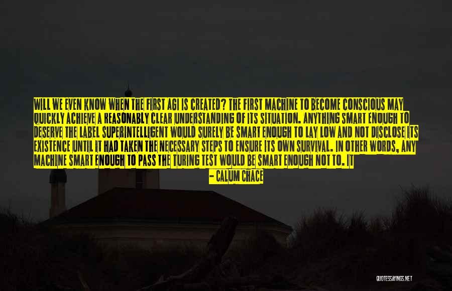 Mcmansions Quotes By Calum Chace Mcmansions Quotes By Calum Chace