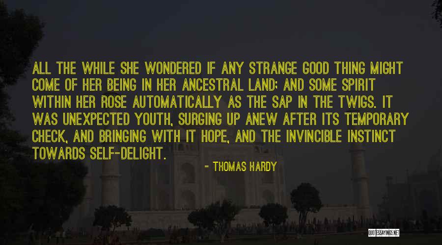 Mcmellon Bros Quotes By Thomas Hardy