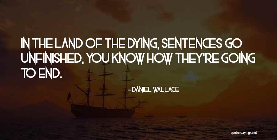 Mcmonagle Perri Quotes By Daniel Wallace Mcmonagle Perri Quotes By Daniel Wallace