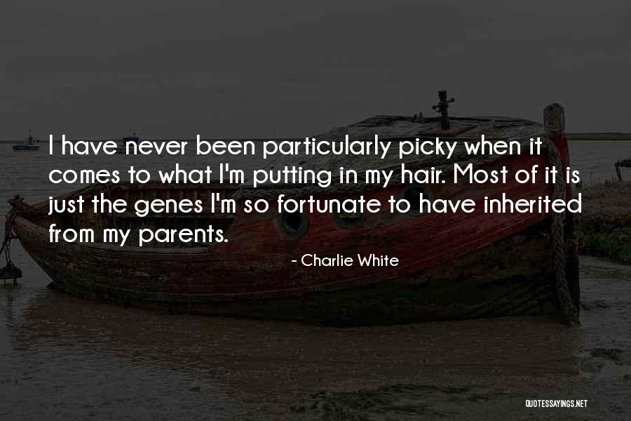Mcmorrow Haulage Quotes By Charlie White Mcmorrow Haulage Quotes By Charlie White