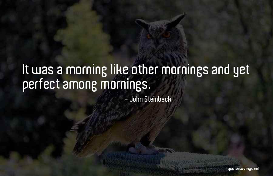 Mcmorrow Haulage Quotes By John Steinbeck Mcmorrow Haulage Quotes By John Steinbeck