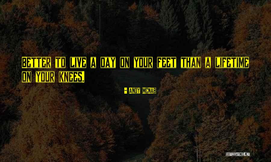 Mcnab Quotes By Andy McNab Mcnab Quotes By Andy McNab