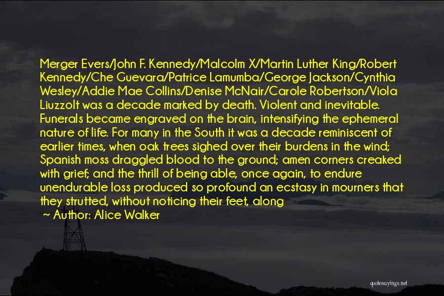 Mcnair Quotes By Alice Walker