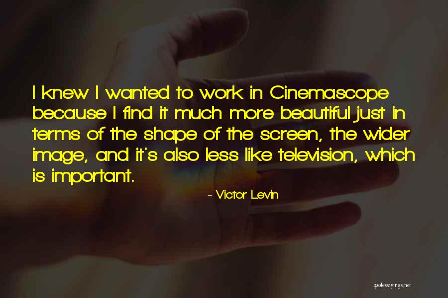 Mcninch Restaurant Quotes By Victor Levin Mcninch Restaurant Quotes By Victor Levin
