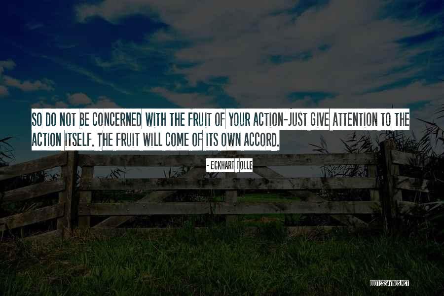 Mcphilmy Maureen Quotes By Eckhart Tolle Mcphilmy Maureen Quotes By Eckhart Tolle
