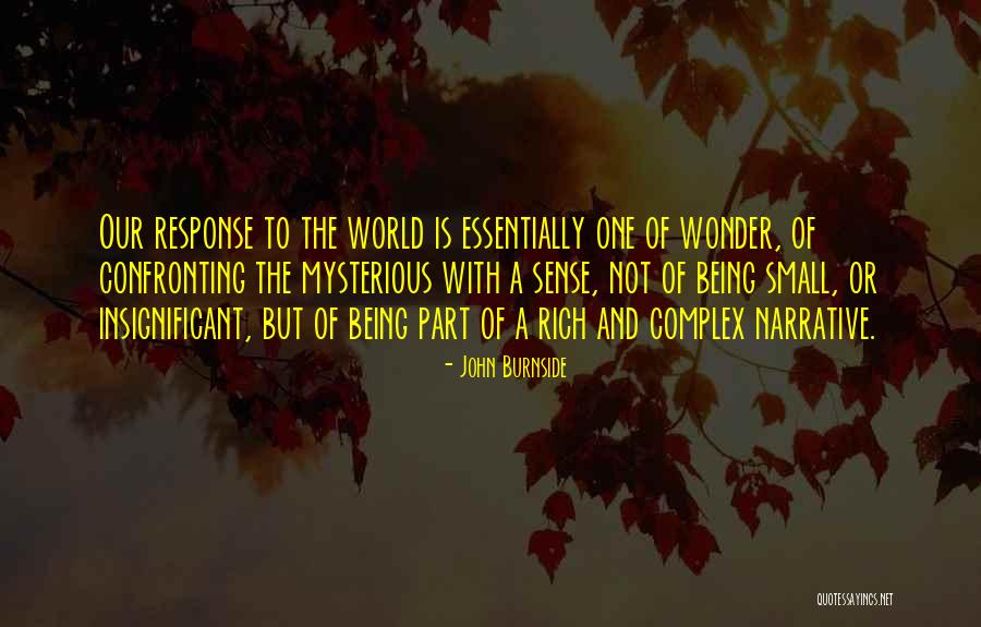 Mcquestion And Sons Quotes By John Burnside Mcquestion And Sons Quotes By John Burnside