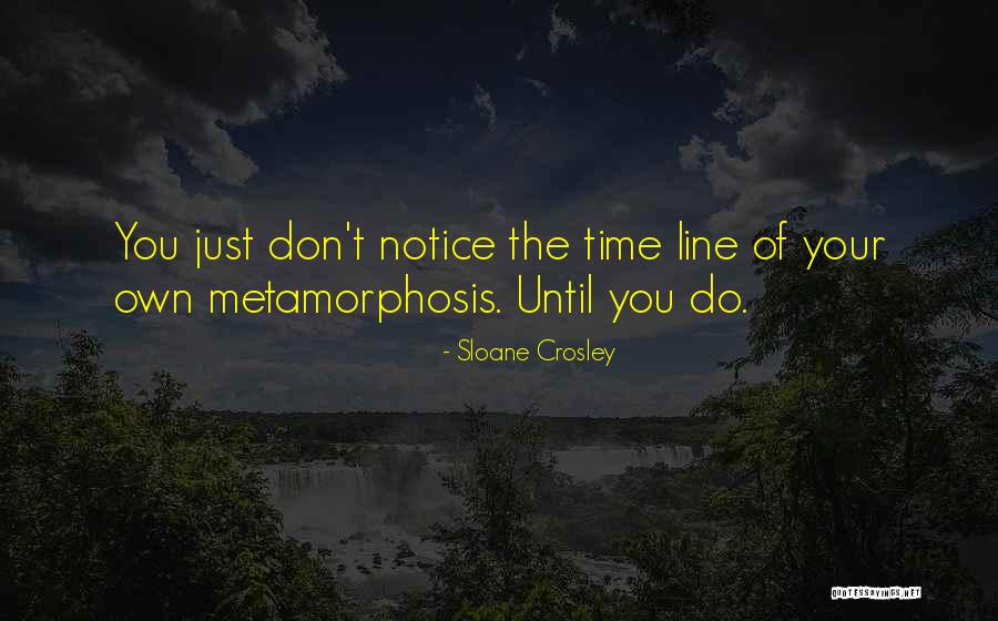 Mcrobbie Iu Quotes By Sloane Crosley Mcrobbie Iu Quotes By Sloane Crosley