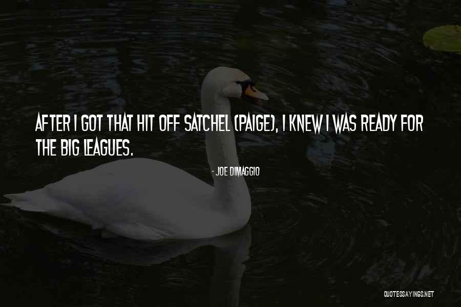 Mcwaters And Associates Quotes By Joe DiMaggio