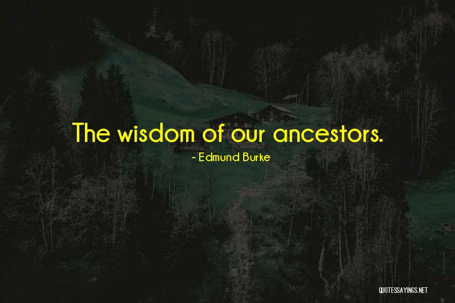 Mcyt Quotes By Edmund Burke Mcyt Quotes By Edmund Burke