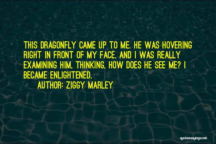 Me And Marley Quotes By Ziggy Marley