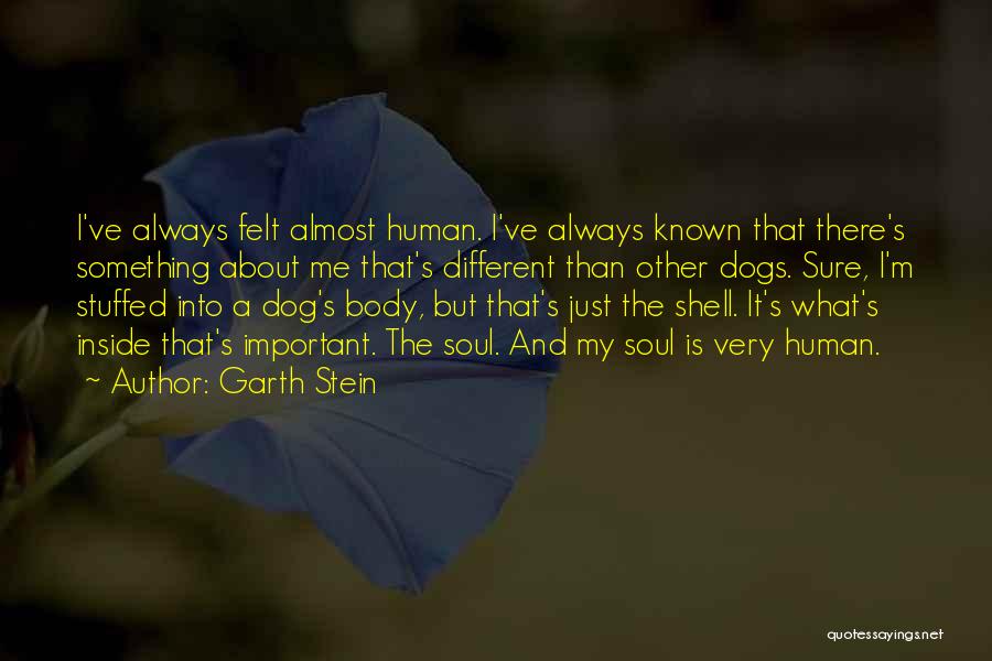 Me And My Dog Quotes By Garth Stein
