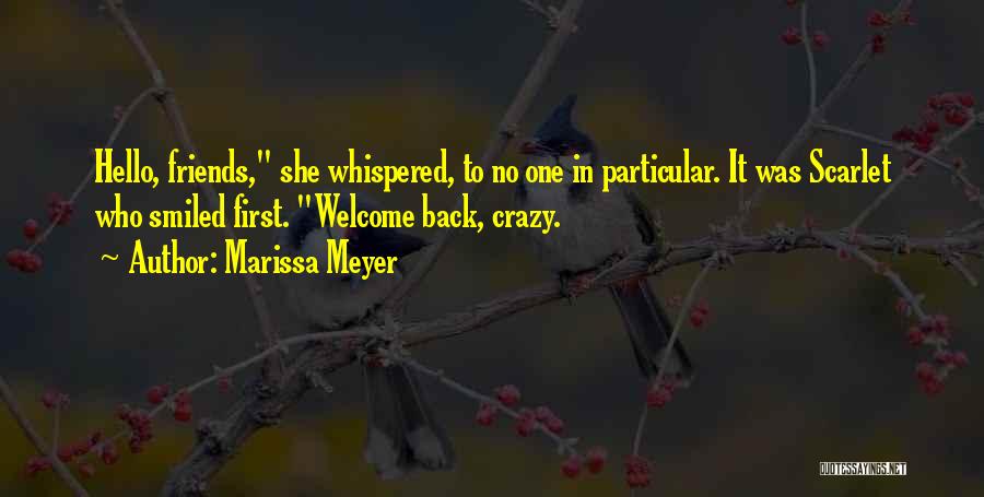 Me And My Friends Are Crazy Quotes By Marissa Meyer