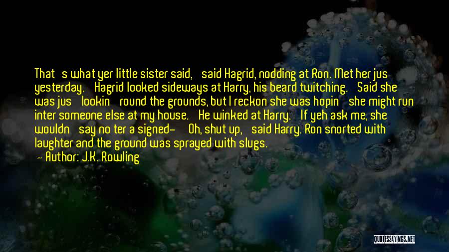 Me And My Little Sister Quotes By J.K. Rowling