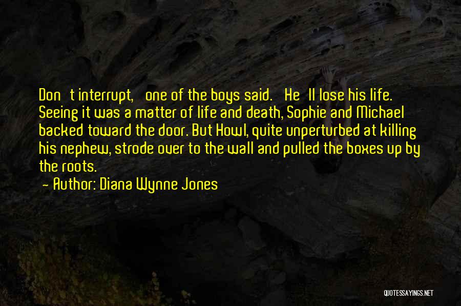 Me And My Nephew Quotes By Diana Wynne Jones