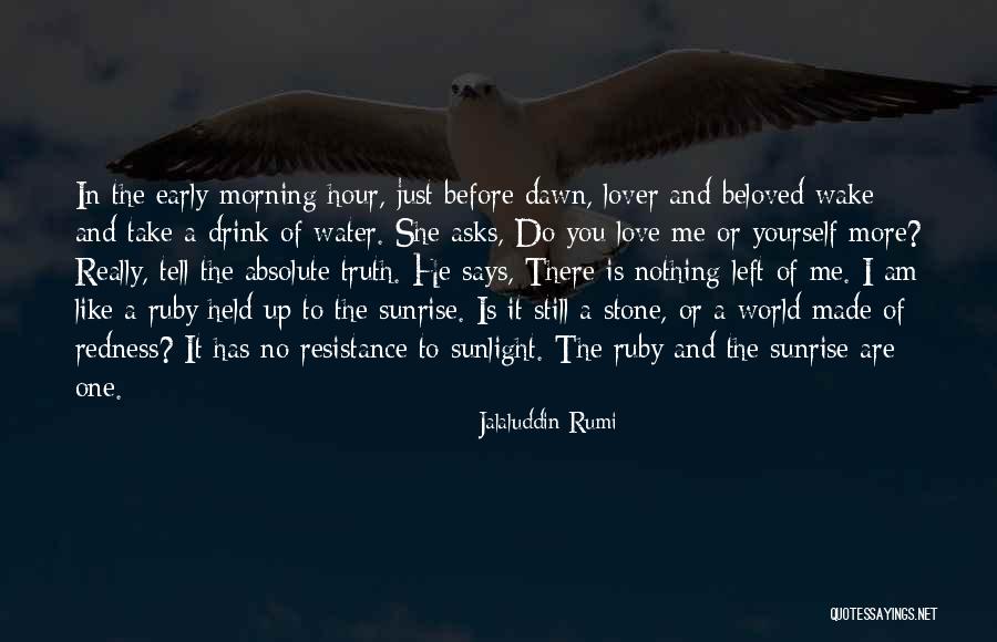 Me Before You Love Quotes By Jalaluddin Rumi Me Before You Love Quotes By Jalaluddin Rumi