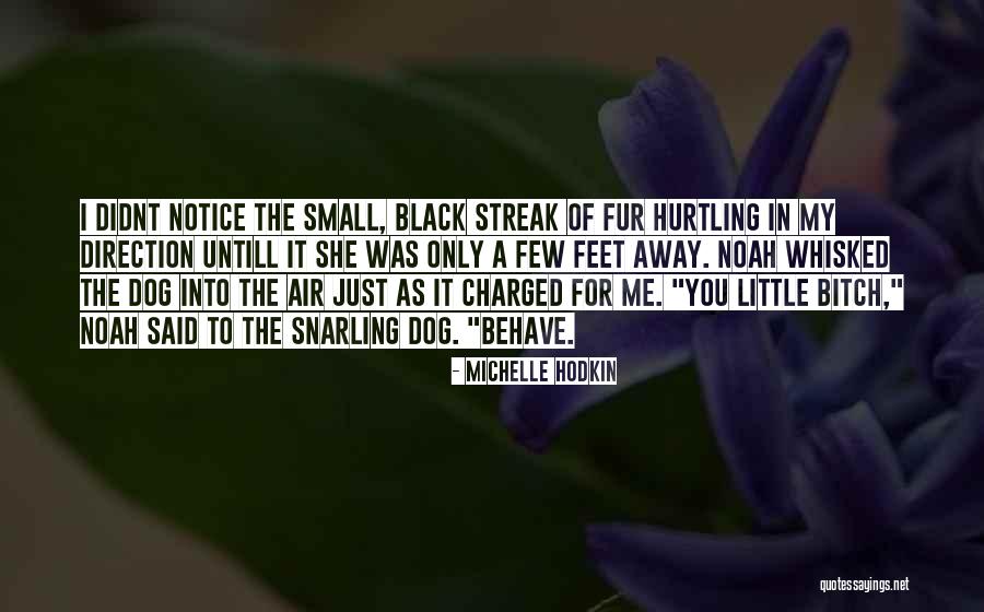 Me Behave Quotes By Michelle Hodkin Me Behave Quotes By Michelle Hodkin